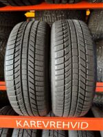 Continental WinterContact TS870P 205/55R17 91H - Image 2
