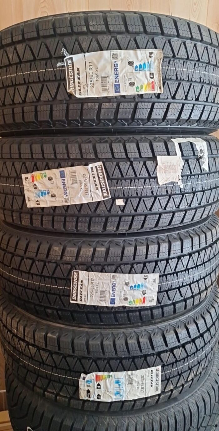 Bridgestone Blizzak DM-V3 225/65R17 106S - Image 1