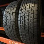 Bridgestone Blizzak DM-V1 215/70R16 100R