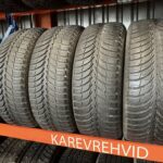 Sava Eskimo Ice 205/60R16 96T