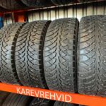 Amber Winter H4 205/55R16 91H