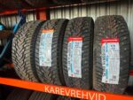 Nankang IceActiva SW-8 195/65R15 95T