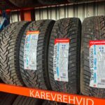 Nankang IceActiva SW-8 195/65R15 95T