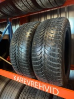 Sava Eskimo Ice 205/55R16 94T