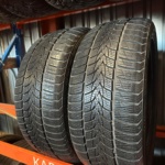 Minerva Frostrack 225/50R17 94H