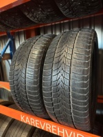 Minerva Frostrack 225/50R17 94H