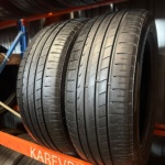 Minerva Radial F205 215/55R17 98W