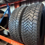 Leao Winter Denender 195/65R15 95T