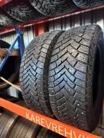 Leao Winter Denender 195/65R15 95T
