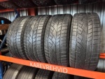 RoadX RX Frost 225/50R17 98H