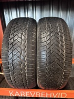 RoyalBlack RoyalWinter 205/55R16 91H - Pilt 2