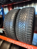 Goodyear UltraGrip Ice 2 205/55R16 94T