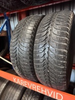 Sava Eskimo Ice 205/60R16 96T